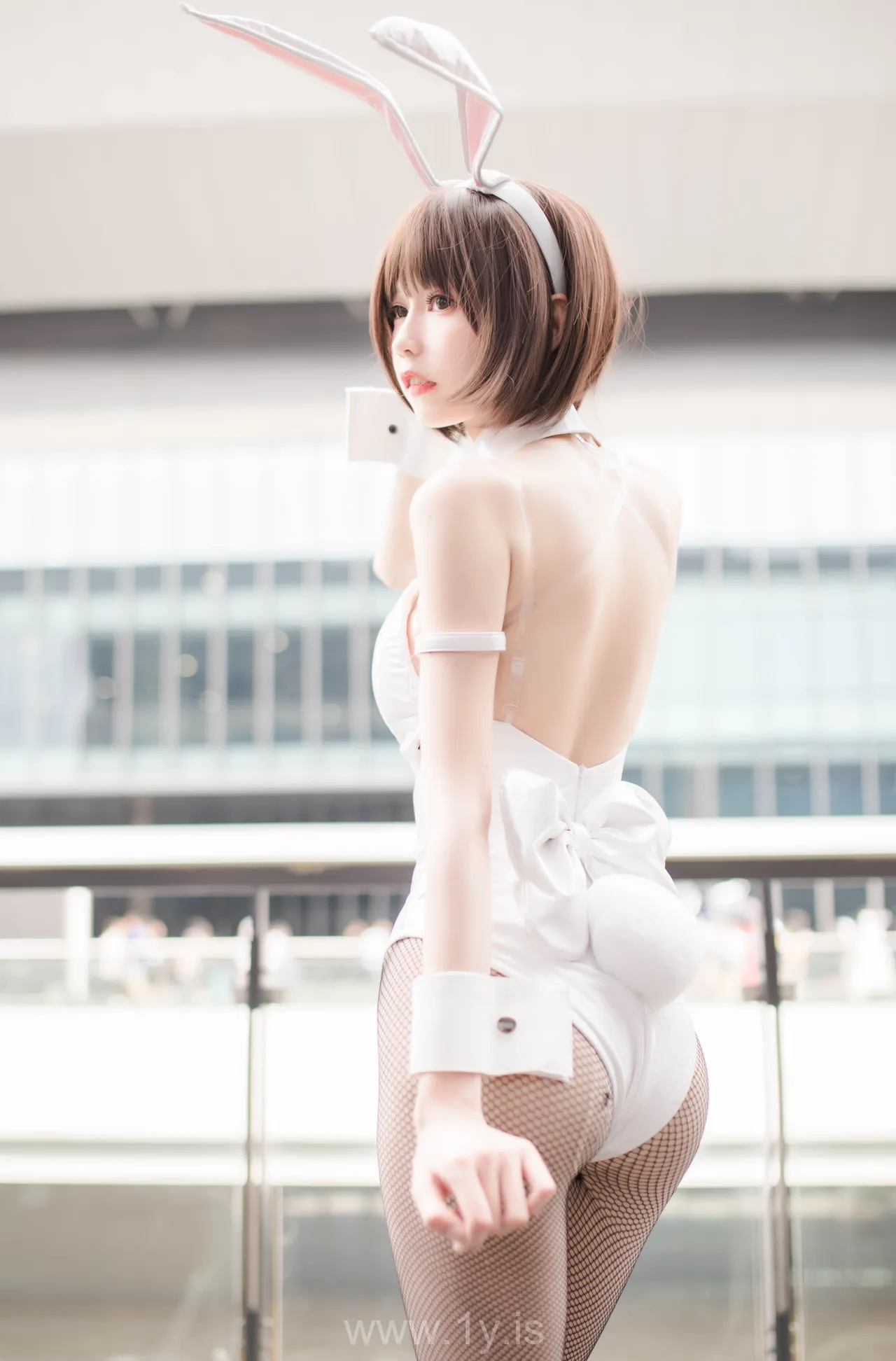 你的负卿 圣人惠兔女郎